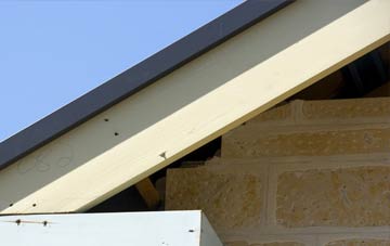 Saxtead Green fascia repairs