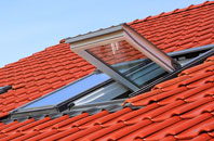 Saxtead Green roof window